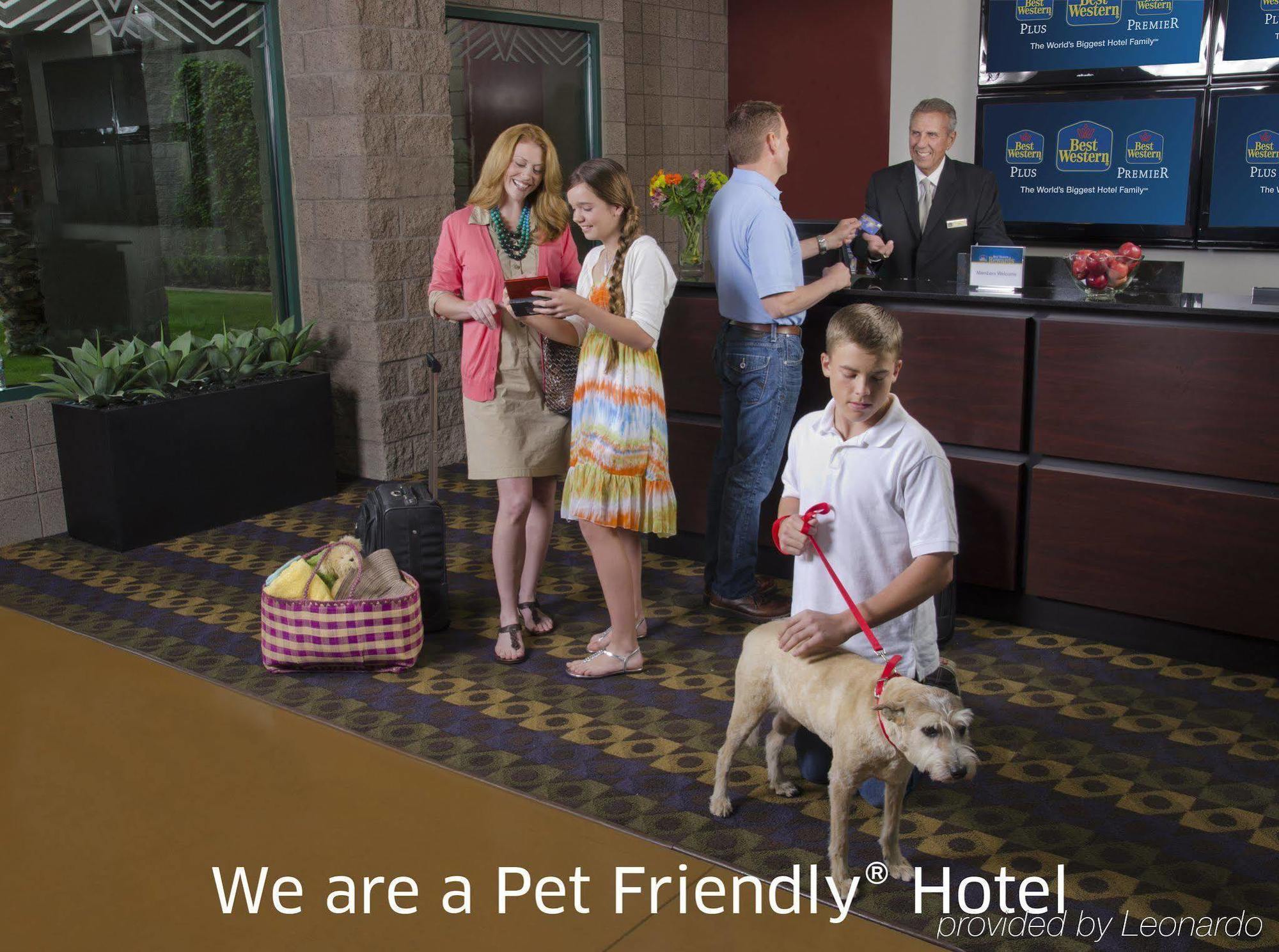 Best Western Mesquite Inn Kültér fotó